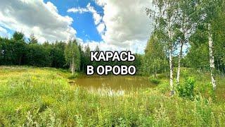 Рыбалка на снасть убийца карася. Карась на опарыша. Орово Ленинградская область.