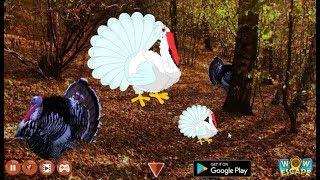 Wow Escape Game Save The White Turkey walkthrough.