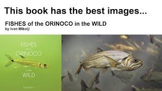 Fishes of the Orinoco in the Wild book by Mikolji