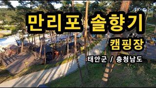 [태안군]_ 만리포 캠핑장 / 예약_ 솔향기 캠핑장 홈페이지 / 충남 태안군 소원면 모항리