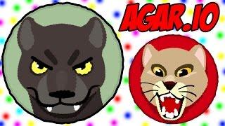 Agar.io - Мы огромные - мы нагибаем