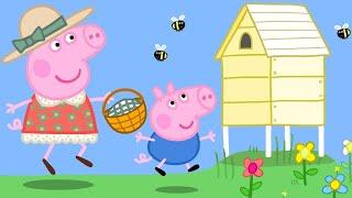 Visiting the Bee Hive In Spring  | Peppa Pig Official Full Episodes