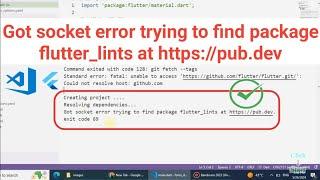 Got socket error trying to find package flutter_lints at https://pub.dev