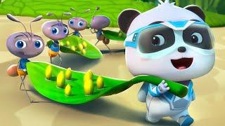 Kiki Helps the Ants + More | Super Rescue Team | Kids Cartoon | BabyBus TV