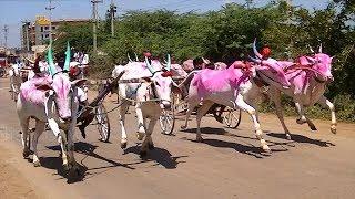 Kudubandi bullock cart race at Yadawad