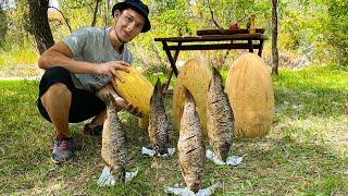 MELON BUCKET FISH  Fish Cooked Inside the Bucket & Melon  CAMPFIRE COOKING Recipe