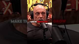 Joe Rogan: This Is Why You Are Becoming Depressed