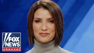 Dana Loesch: Democrats adopted this 'insanity' as part of their platform