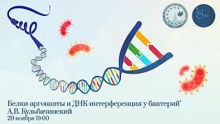 Научный клуб ФББ. Андрей Кульбачинский. Белки-аргонавты и ДНК-интерференция у бактерий.