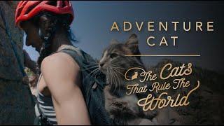 EP 3 | ADVENTURE CAT, DENALI | THE CATS THAT RULE THE WORLD | SHEBA®