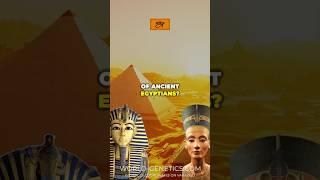 Ancient Egyptian genetics 