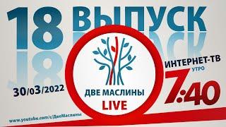 Выпуск #18 | Две маслины live | История Израиля,  Говорят репатрианты, "Ты мой", Эхо марафона.