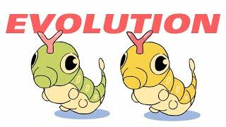 Caterpie  Evolution, Normal and Shiny   Pokemon Transformation Animation   Metapod and Butterfree