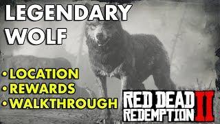 Red Dead Redemption 2 - Legendary Wolf (Location, Rewards, Walkthrough)