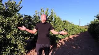 The One Thing I Wish Everyone Knew Before Starting a Farm Business