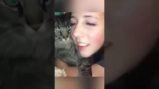 Funny pet#pets #cats #pet cute moments #pet funny moments #people and pets #animals #fpy #foryou