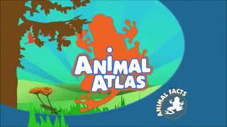 Animal Atlas - Bear Country (Syndicated Episode)