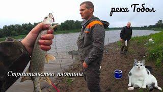 Мостострой. Рыбалка на реке Тобол. Щука на спиннинг.Рыбалка Тюмень. Старицы и притоки Тобола.