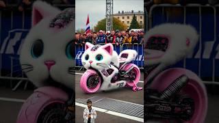 ️ Evolution of Cat : Motogp Cat  Maiw Milky  #cat #cute #love #shorts