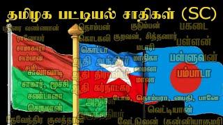 தமிழகத்தில் உள்ள SC சாதியினர் யார் யார்? பட்டியல் | பட்டியல் சாதியினர் |