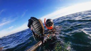 Chasse sous-marine 2021- Les Glénans part 2