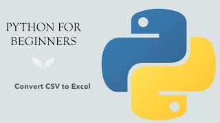 #34 Python for Beginners: Convert CSV to Excel using Python