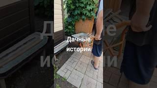 Дачные истории#shorts #short #shortvideo #казахстан #дача