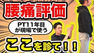 【腰痛のリハビリ】超シンプルな評価方法について徹底解説！(理学療法士)