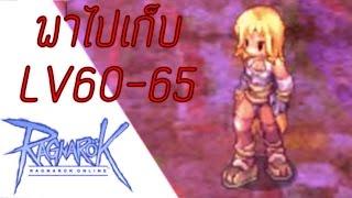 Ragnarok Online(ROEXE) ไปเวลที่ไหนดีโจรLV60-65ในหนึ่งวัน ไม่ปั้มไม่เทพทรูเล่นแบบเดิมๆ