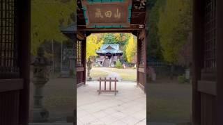 Autumn colours at Teishoji Temple #temple #Japan #geisha #autumn #fall #gifu #hiking_gifu #秋 #寺 #岐阜県