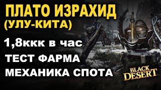 ПЛАТО ИЗРАХИД. 1,8ккк/час (Агрис). Тест фарма серебра в БДО (BDO - Black Desert)