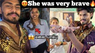 She was very brave|மலை பாம்பு | she handling snake | TTF | Tamil |