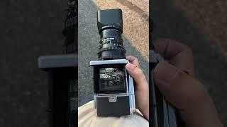 Waist level viewfinder on hasselblad 500 - Mustang car photography 2022 #filmphotography