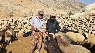 Iran Nomadic Life: Jahangir's Effort to Give Pills for Sheep Parasites with the Help of Maryam