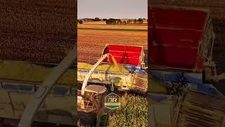 Máquinas agrícolas in Harvesters | #farmbrprogress #maquinasagricolas #agro #agriculture