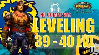 WOTLK Leveling Alliance Guide (Paladin) [40 EP.1] One hour preparation WoW [4K,ASMR]