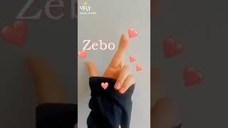 Zebo ismiga video.