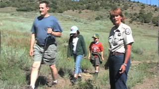 Mountain Lion Safety