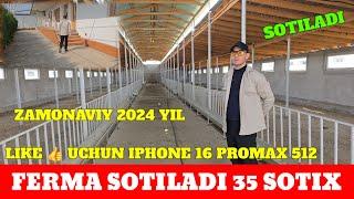 ZAMONAVIY FERMA 35 SOTIX YER NARXIDA SOTILADI 540 TA QO‘YGA MO‘LJALLANGAN 300 TA BUQA KETADI BEMALOL