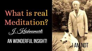 Ending The Observer | A Wonderful Insight by J. Krishnamurti