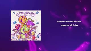 mueve el toto - Conjunto Nuevo Amanecer