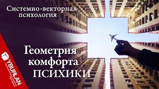 Геометрия комфорта психики. Системно-векторная психология. Юрий Бурлан