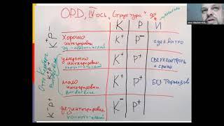 "Нарушение критичности" Фрагмент семинара OPD2. Я.Л. Обухов