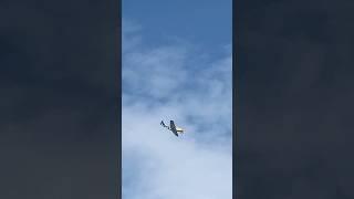 Jack Aces P-51D Mustang loop 2
