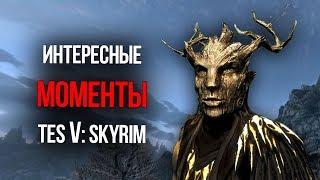 Skyrim ИНТЕРЕСНЫЕ МОМЕНТЫ И СЕКРЕТЫ TES V: СКАЙРИМ