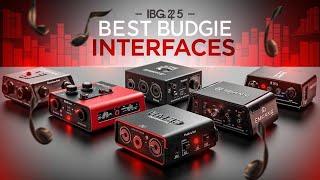 Best Budget Budio Interfaces 2025 | Top Best Budget Budio Interfaces - Review