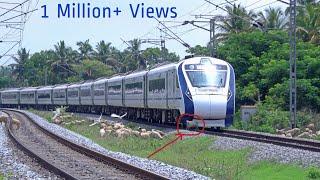 Live Train accident ! VANDE BHARAT EXPRESS Run Over Poor Sheep Crossing a Railway Line at Hi-speed 