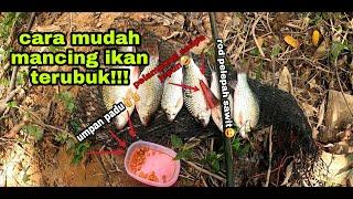 GUNA ROD PELEPAH SAWIT PON BOLEH GENGG  #VLOG 32