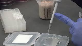 KSVDL Virtual Tour: Bacteriology Laboratory