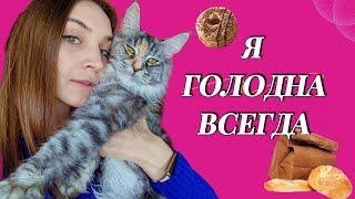 ЧЕМ КОРМИТЬ МЕЙН-КУНА, ЧТОБЫ ОН НАЕЛСЯ (И НЕ ТОЛЬКО МЕЙН-КУНА)?